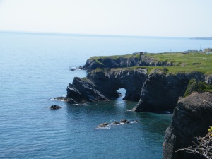 hoge rotsachtige kust | Newfoundland